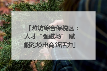潍坊综合保税区：人才“强磁场” 赋能跨境电商新活力